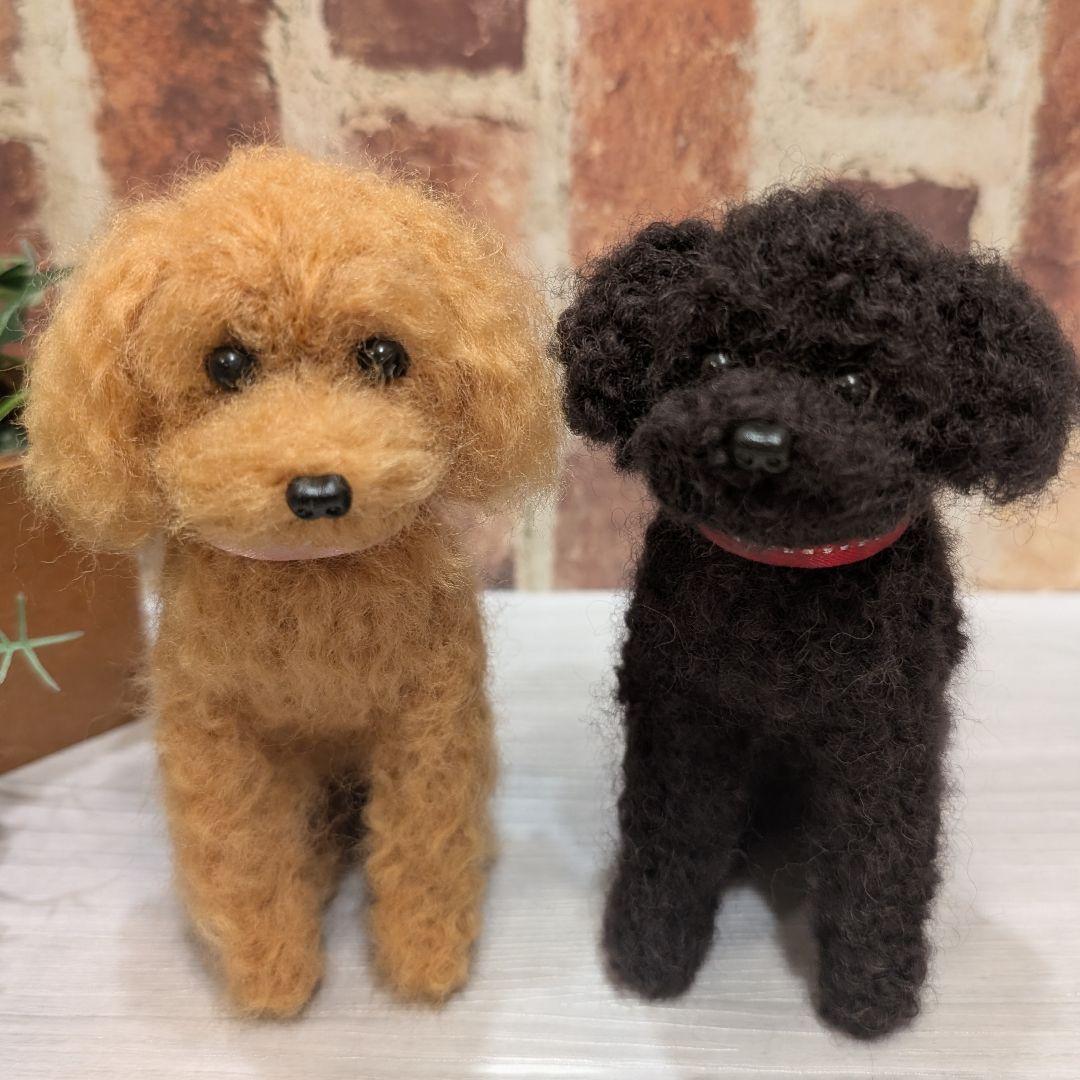 黒トイプードル♡