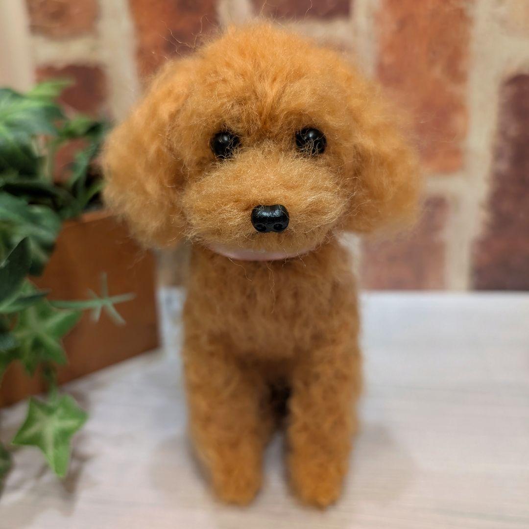 黒トイプードル♡