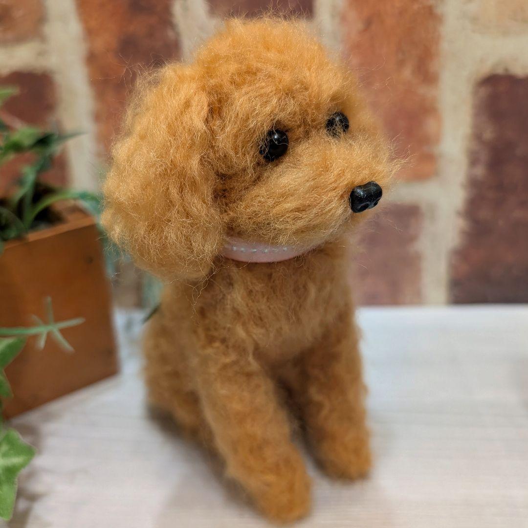 黒トイプードル♡