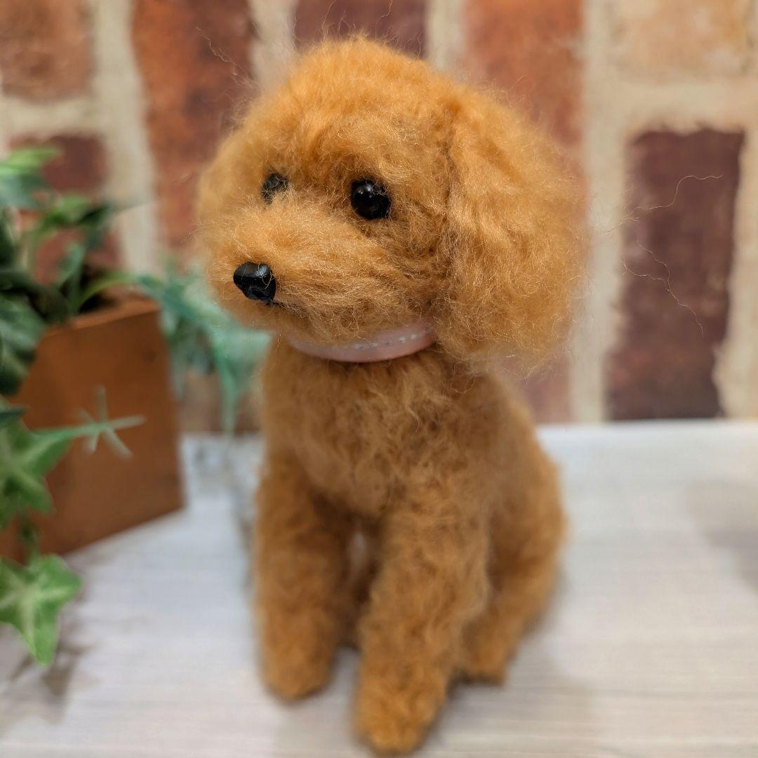 黒トイプードル♡