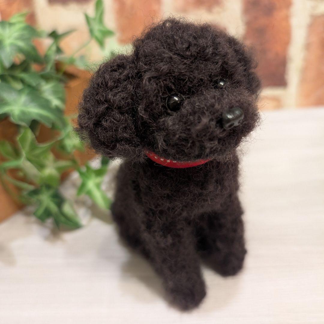 黒トイプードル♡