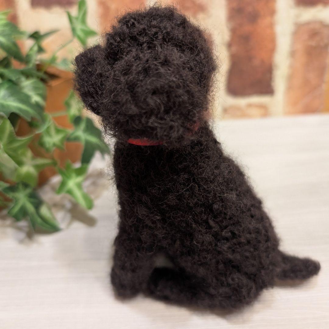 黒トイプードル♡
