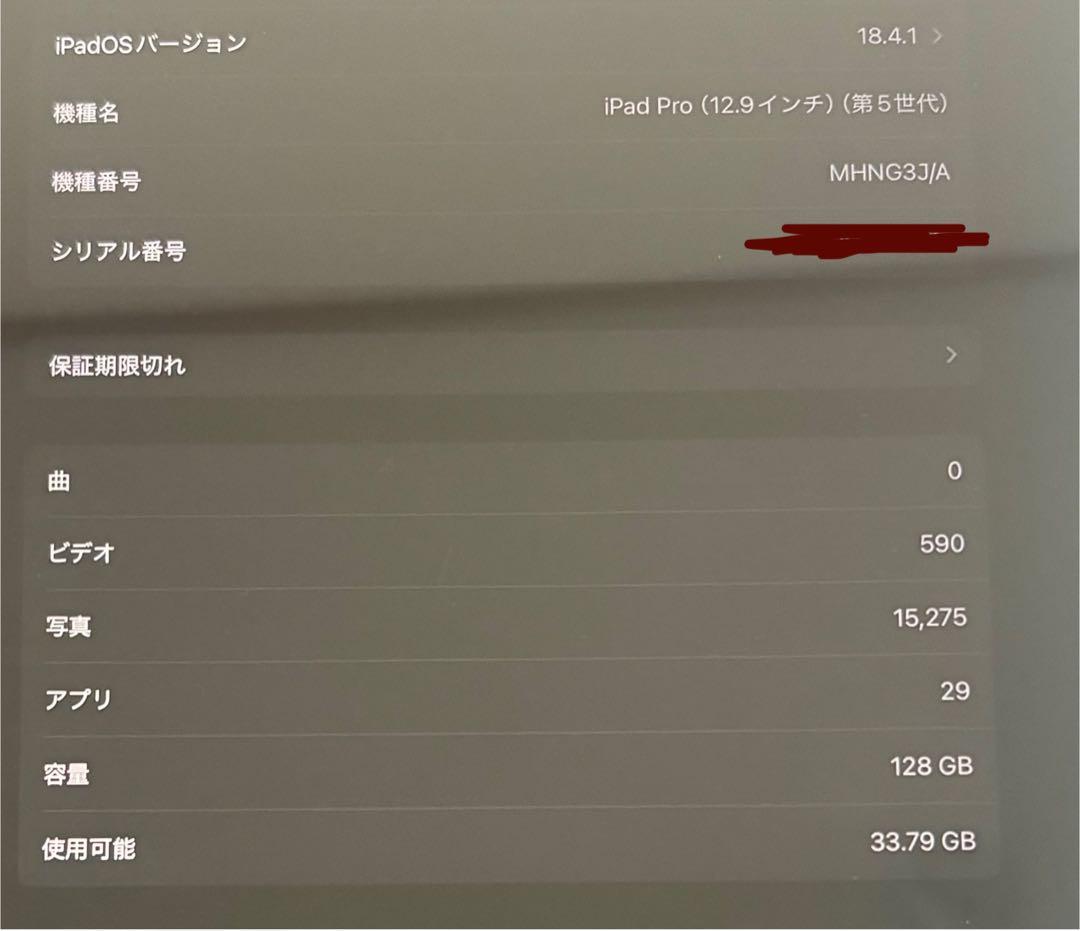 iPad Pro 12.9 5世代 128GB（一部ジャンク）