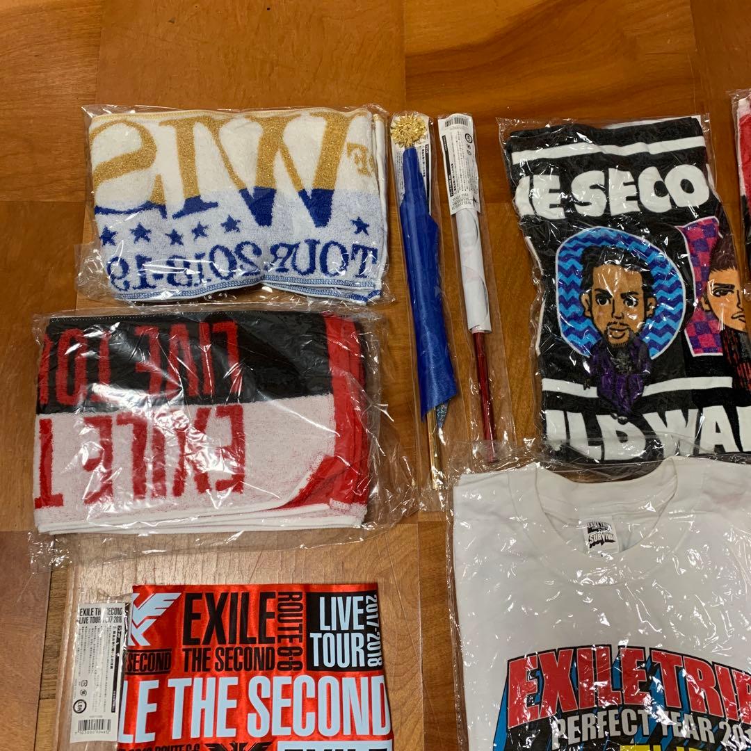 EXILE the survival tribe tower of wisセット