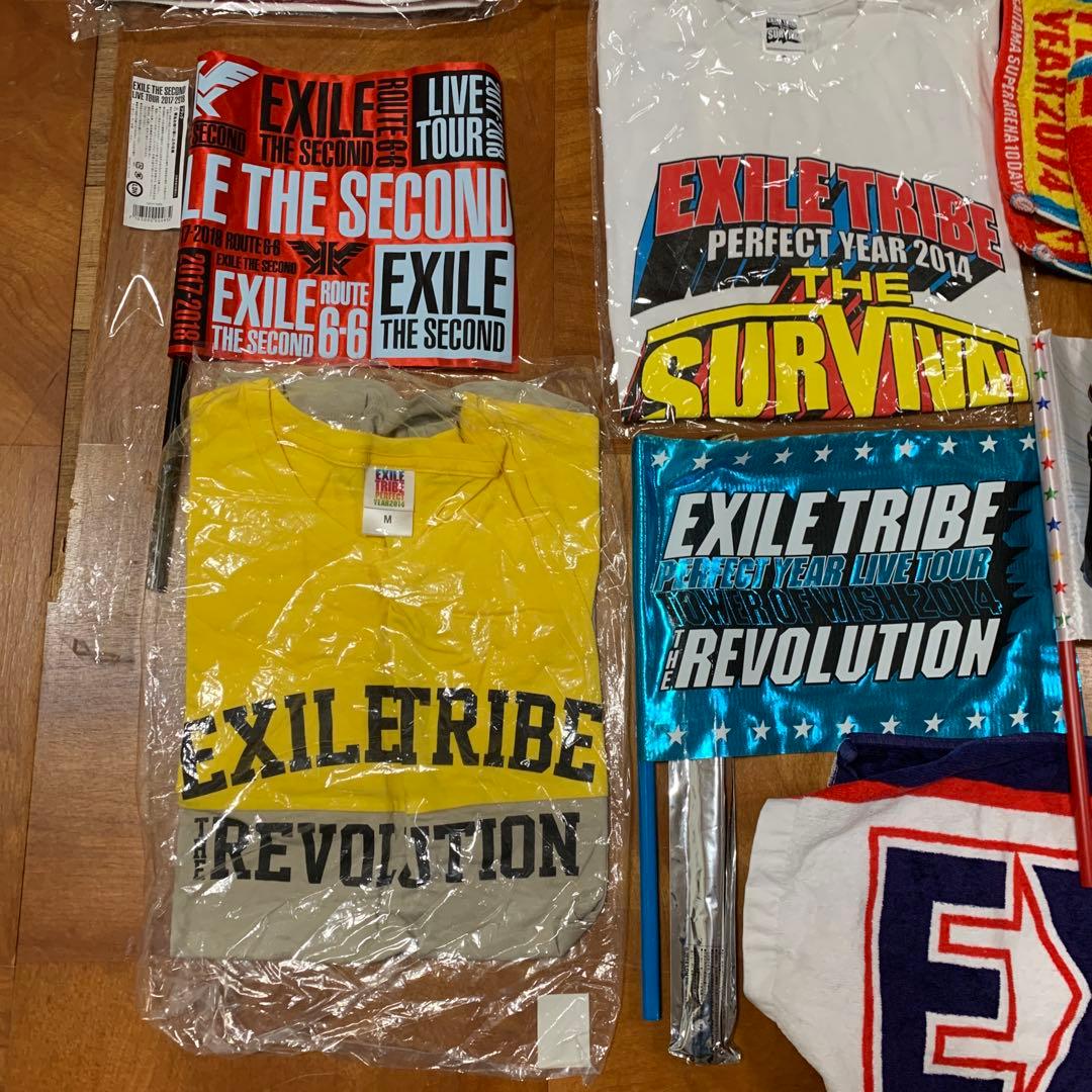 EXILE the survival tribe tower of wisセット