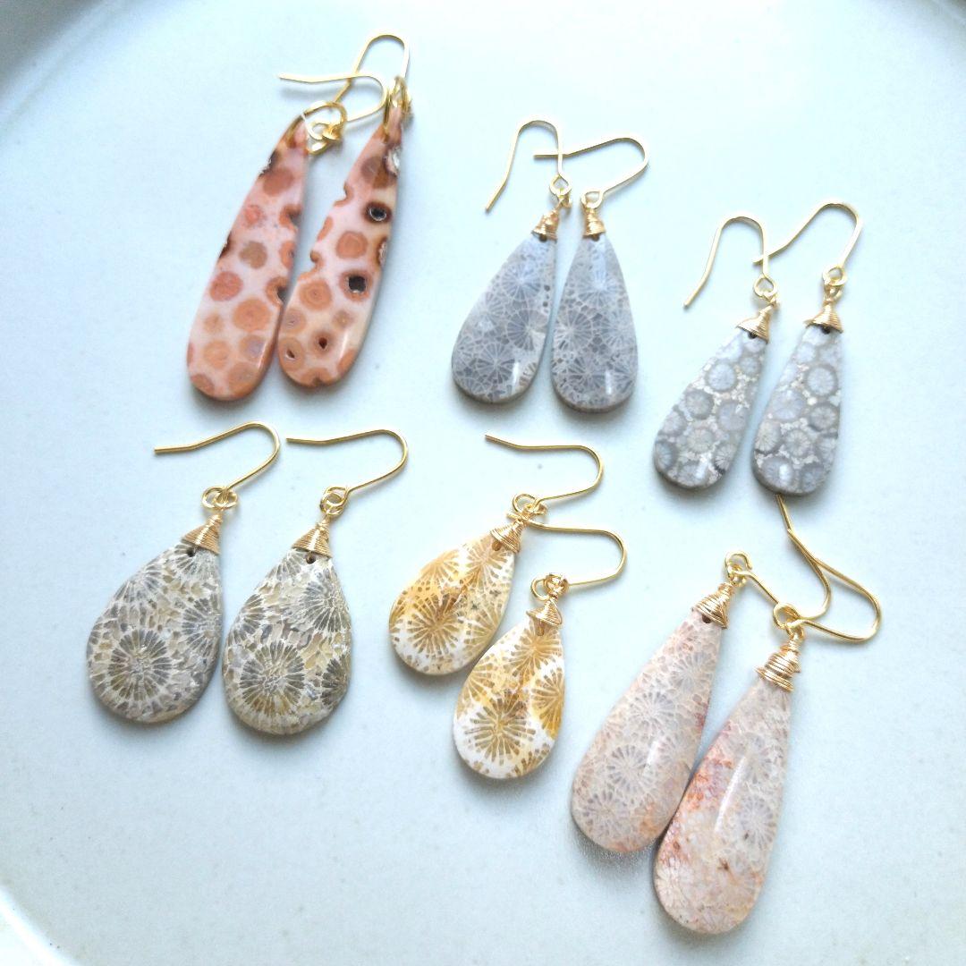 【C】珊瑚の化石 フォッシルコーラルのペアシェイプピアス