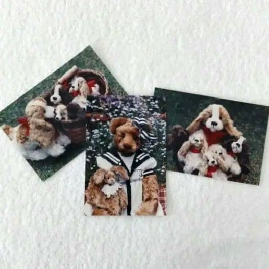 希少／ロザリー・フリッシュマン 海外作家 テディベア作家 ウサギ&ベア他写真6枚