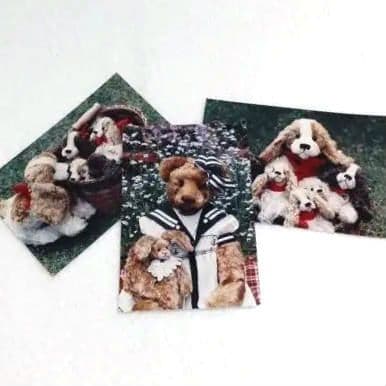 希少／ロザリー・フリッシュマン 海外作家 テディベア作家 ウサギ&ベア他写真6枚