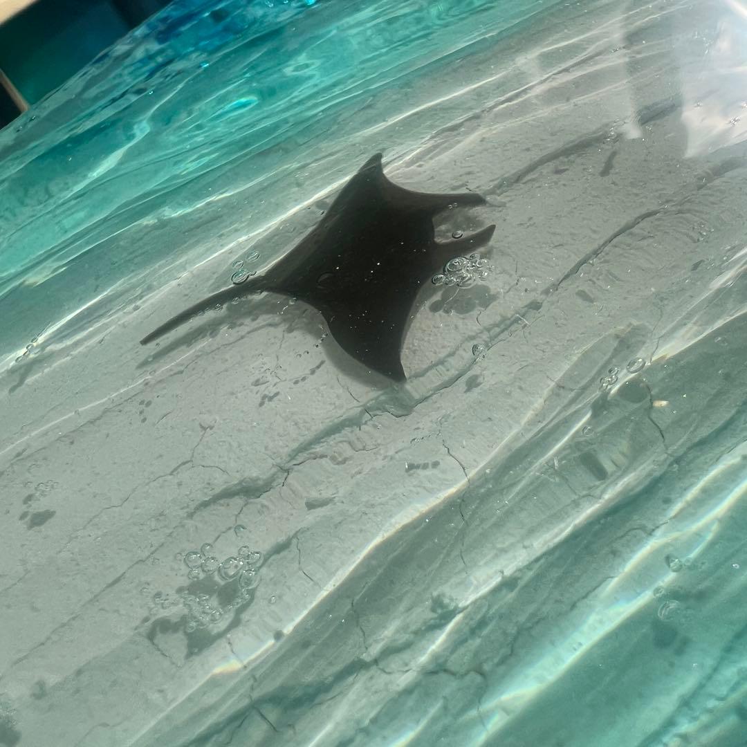 【レジンアート】波紋アート／A5パネル／マンタの遊泳／壁掛け可能