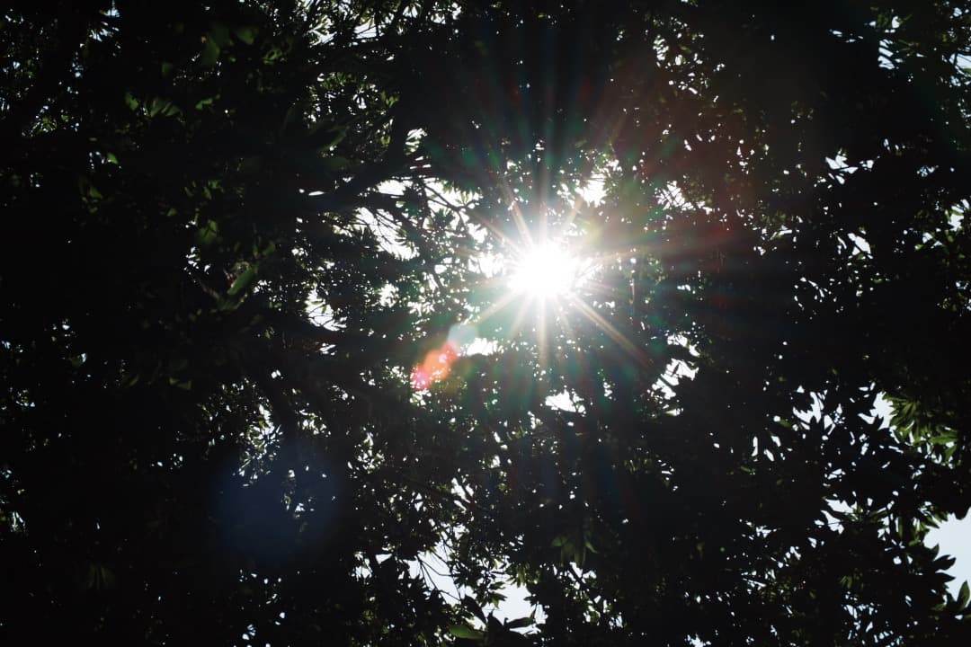 【極美品】動作◎ ニコン　Ai Nikkor 50mm F1.4 940