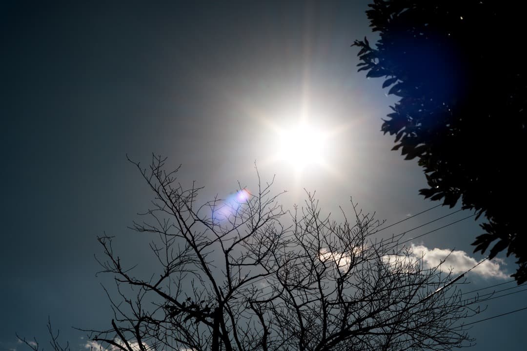 【虹色ゴースト】ミノルタ MC-ROKKOR PF 58mm F1.4 後 63