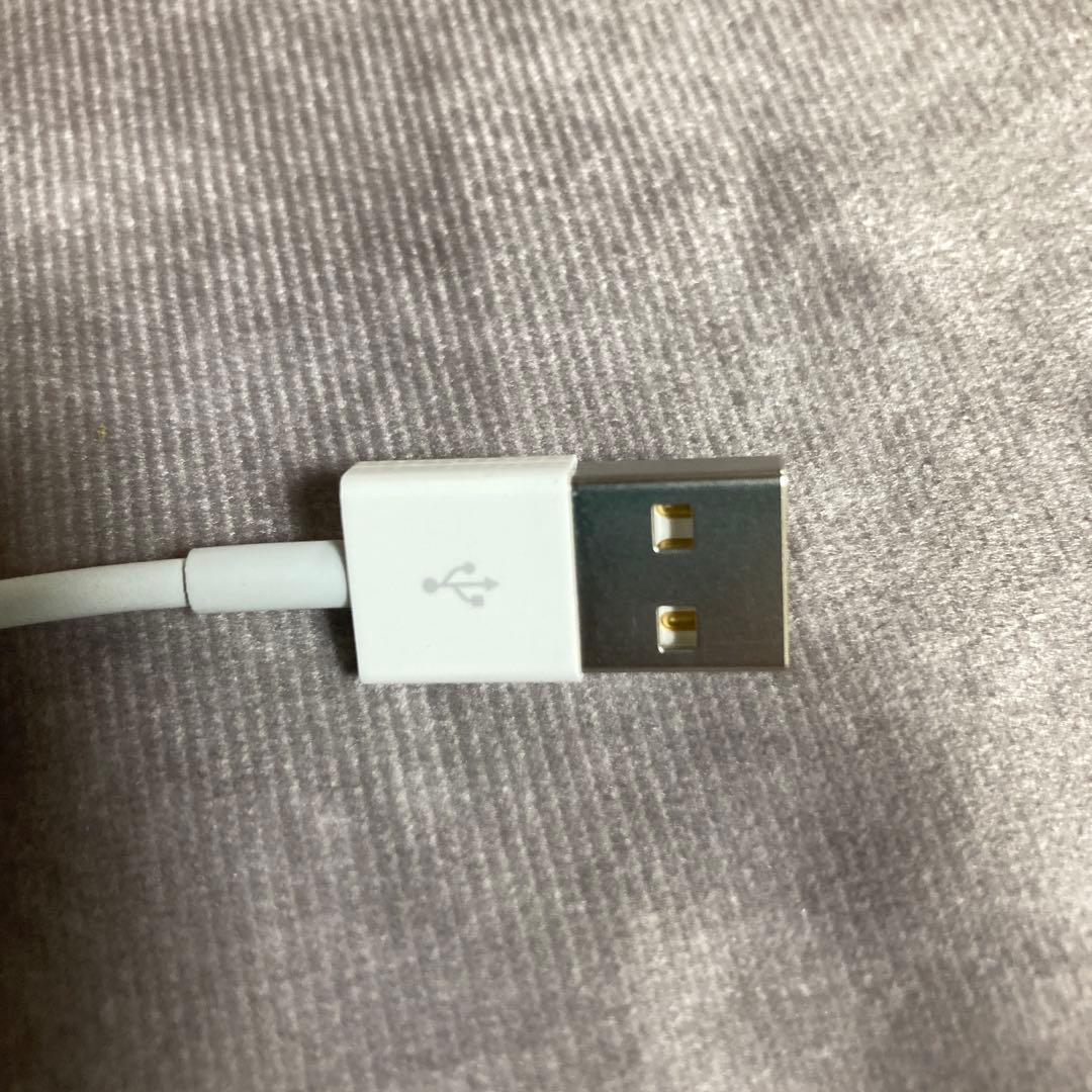 新品 純正 Apple MagicKeyboard キーボード マウス ケーブル