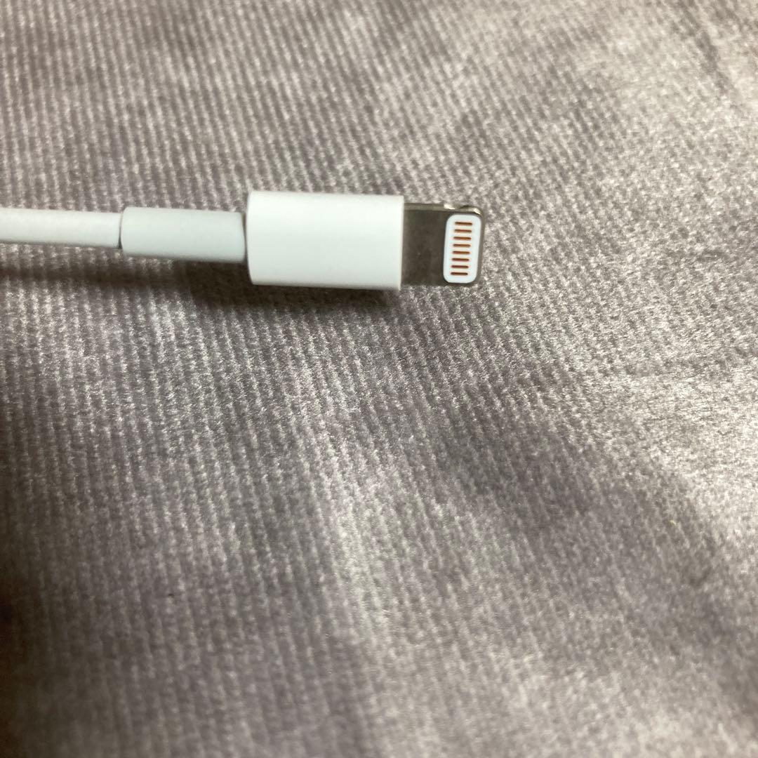 新品 純正 Apple MagicKeyboard キーボード マウス ケーブル