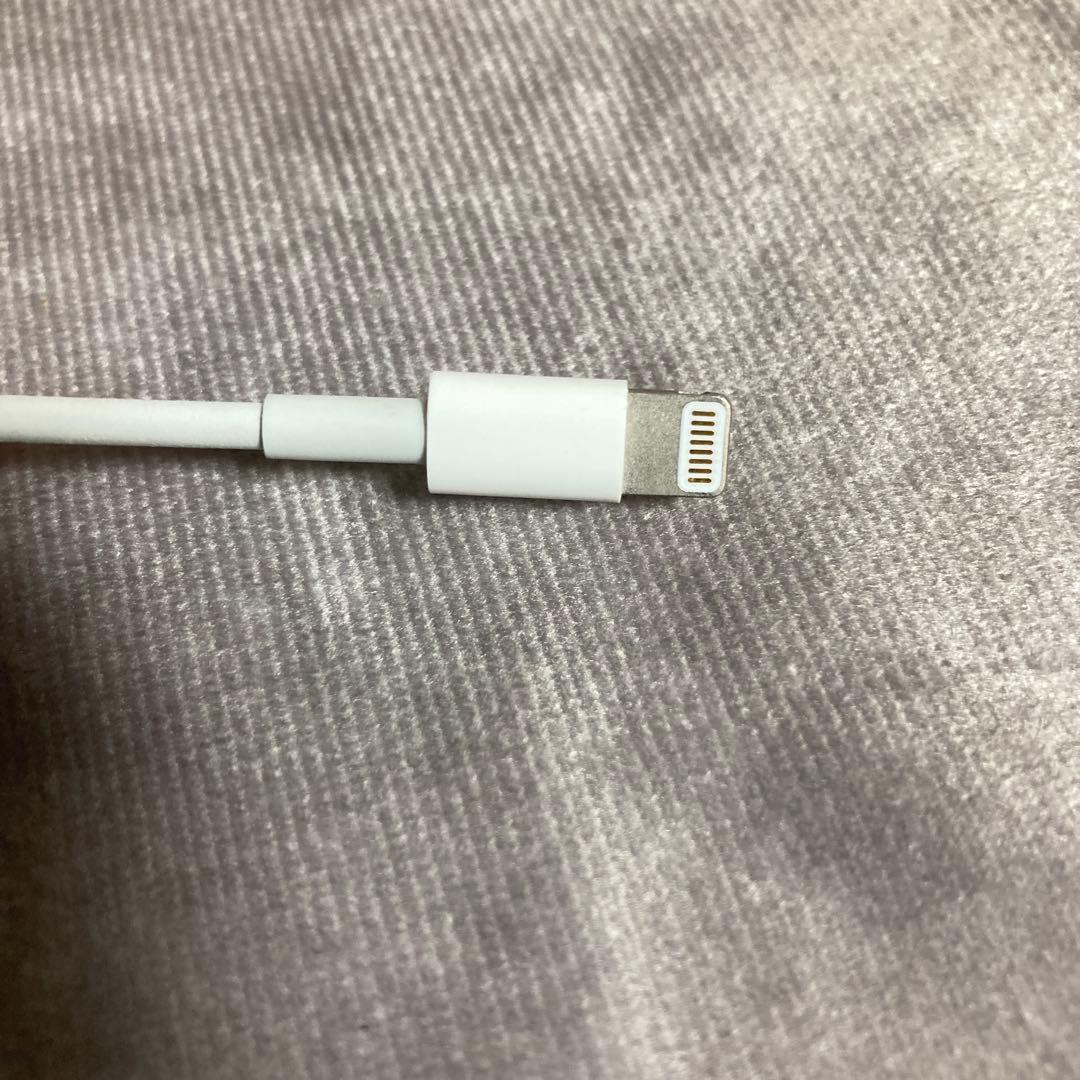 新品 純正 Apple MagicKeyboard キーボード マウス ケーブル