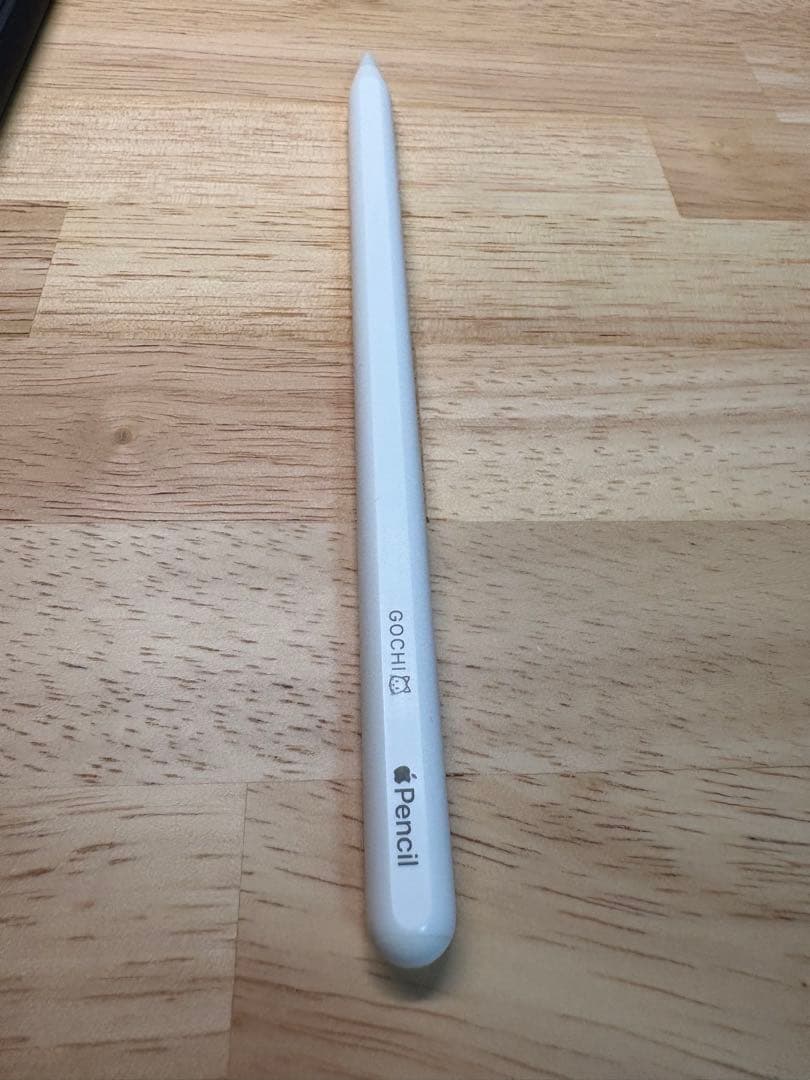 【美品】IPad pro 12.9インチ 256GB WiFiモデル ＋おまけ