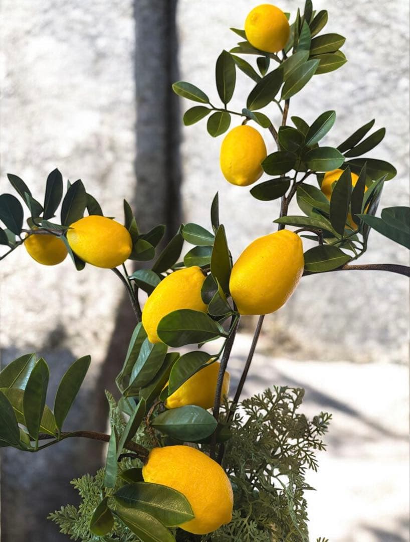 光触媒　人工観葉植物　ウォールグリーン　フェイクグリーン　レモンツリー8666