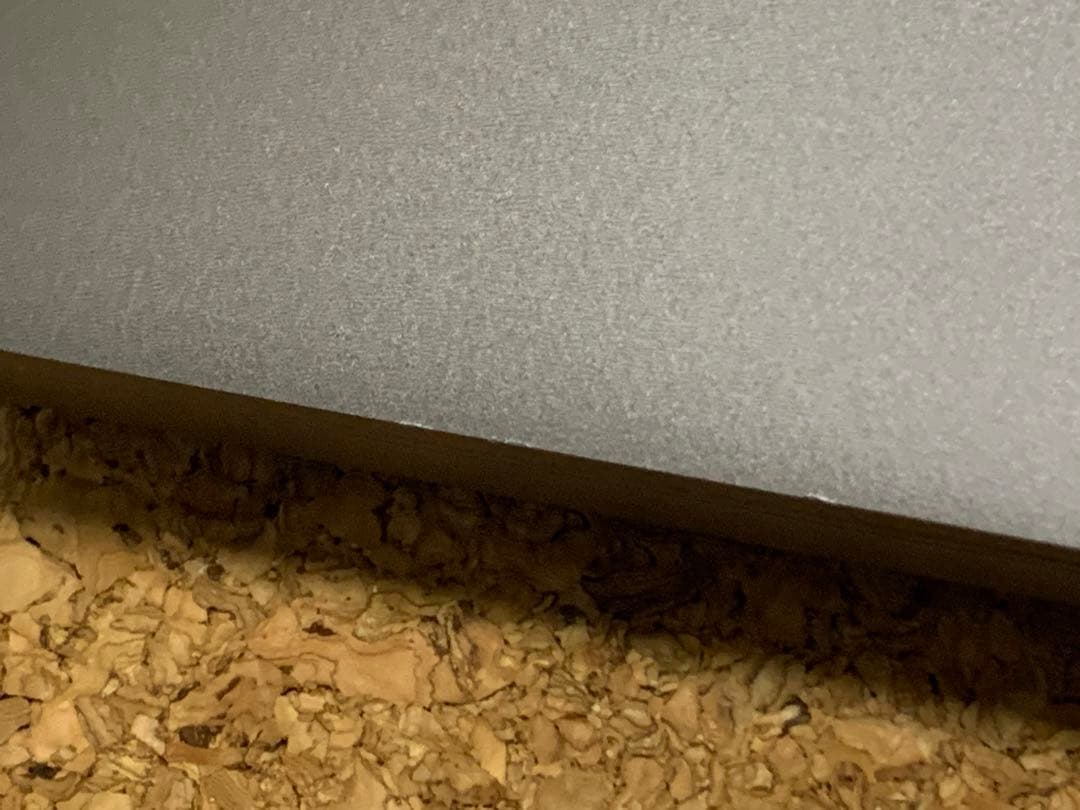 MacBook本体 MacBook pro 2019 16in/ i9 / 64GB / 2TB