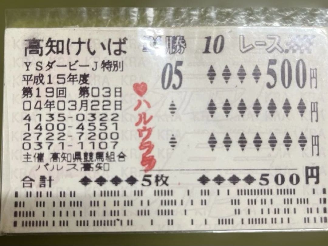 ハルウララ　単勝馬券　500円券　武豊　高知競馬現地購入　交通安全　お守りウマ娘