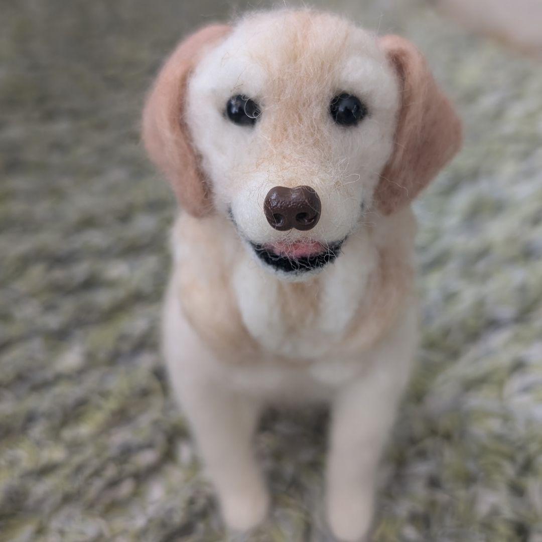 ハニページです。