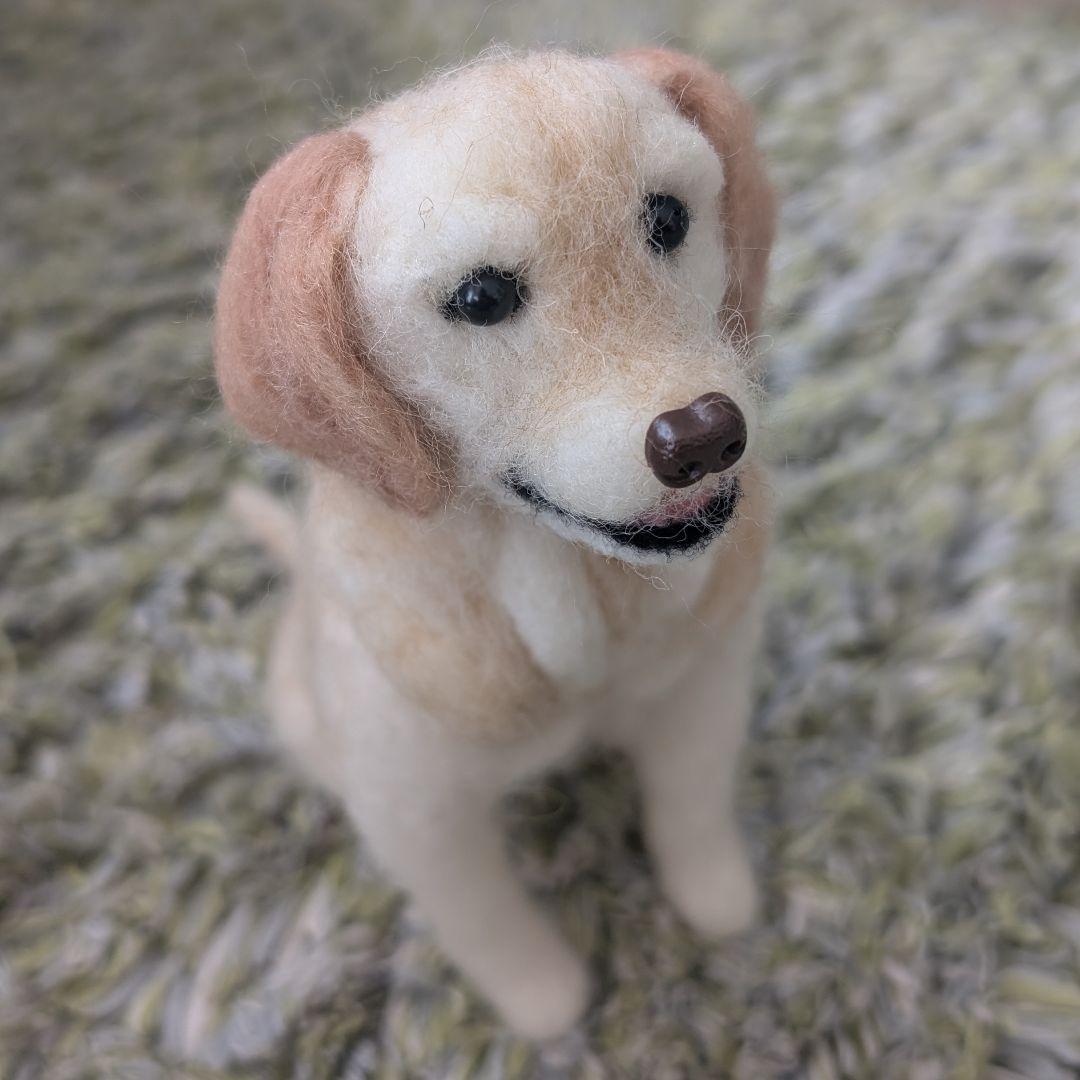 ハニページです。