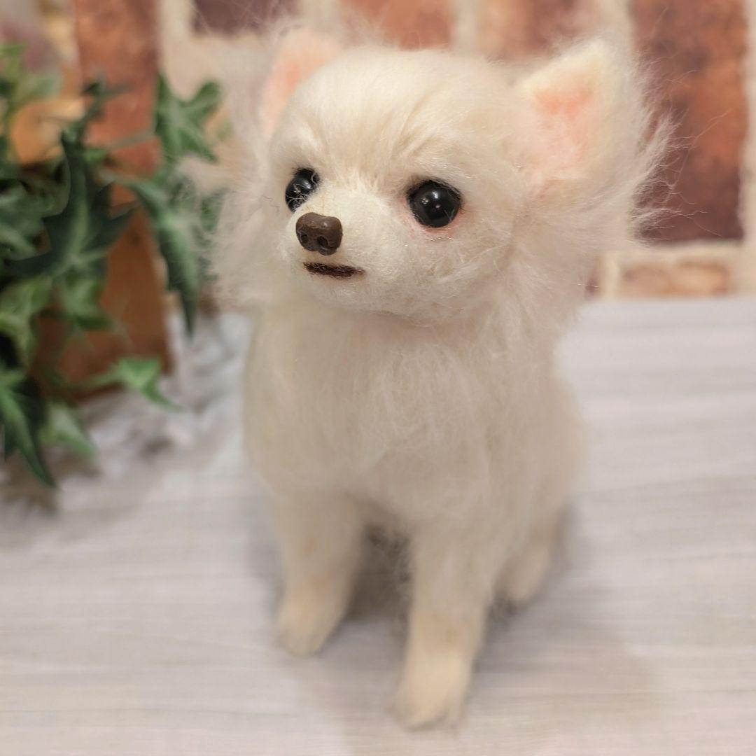 ハニページです。