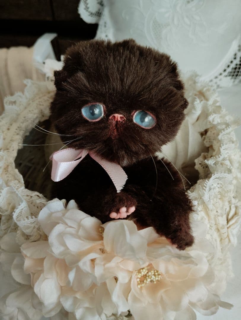 おふぅちゃんオーダー❤三つ子♡エキゾチック子猫ちゃん♡アートドール♡ぬいぐるみ