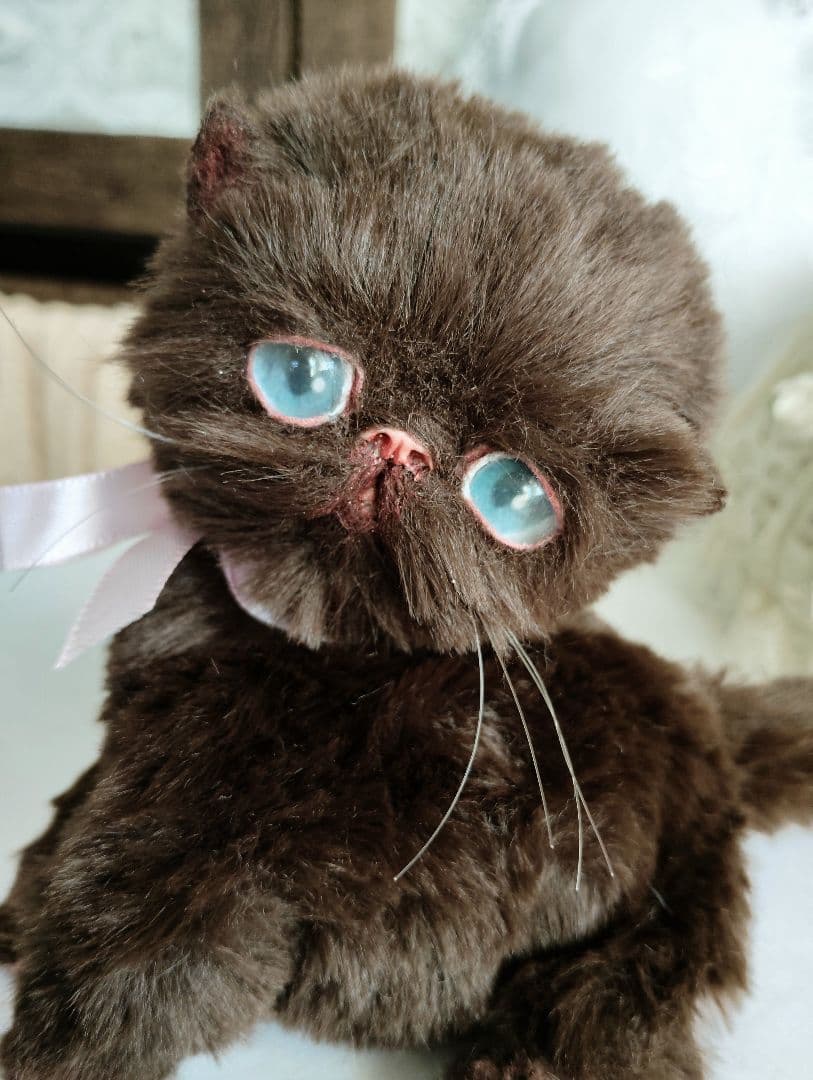 おふぅちゃんオーダー❤三つ子♡エキゾチック子猫ちゃん♡アートドール♡ぬいぐるみ