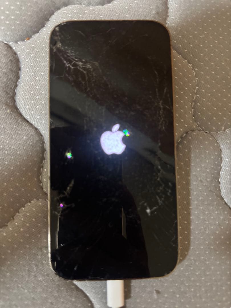 iPhone 13 Pro シルバー 画面・背面ひび割れ junk