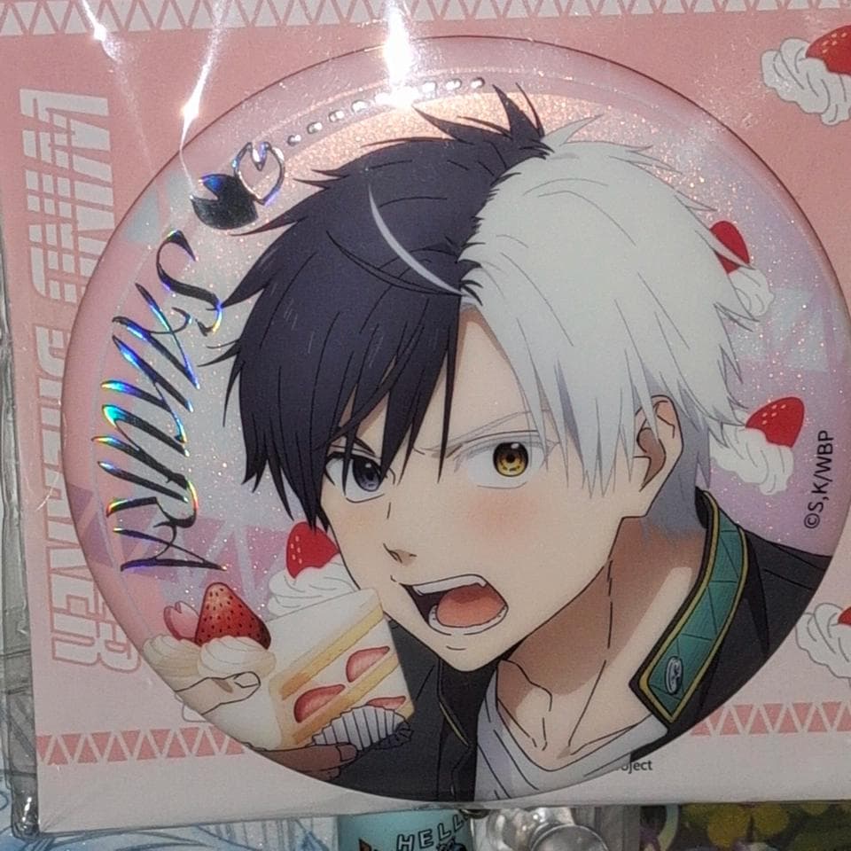 Wind Breaker ウィンドブレイカー 桜遥ケーキホログラム缶バッジ12点