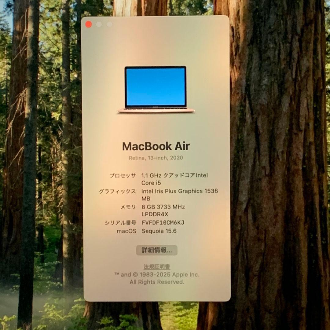 【美品】MacBookAir2020 充放電100回 ローズゴールドパソコンPC