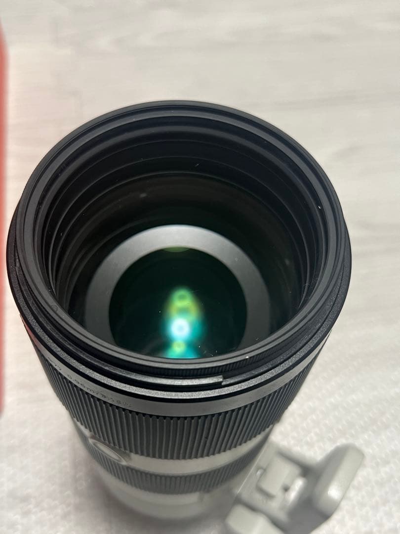 Sony FE 70-200mm F2.8 GM OSS 保護フィルター付き