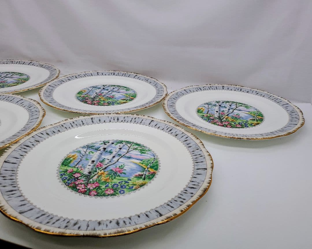 ①ロイヤル アルバート Silver Birch プレート　大皿　5枚　26cm