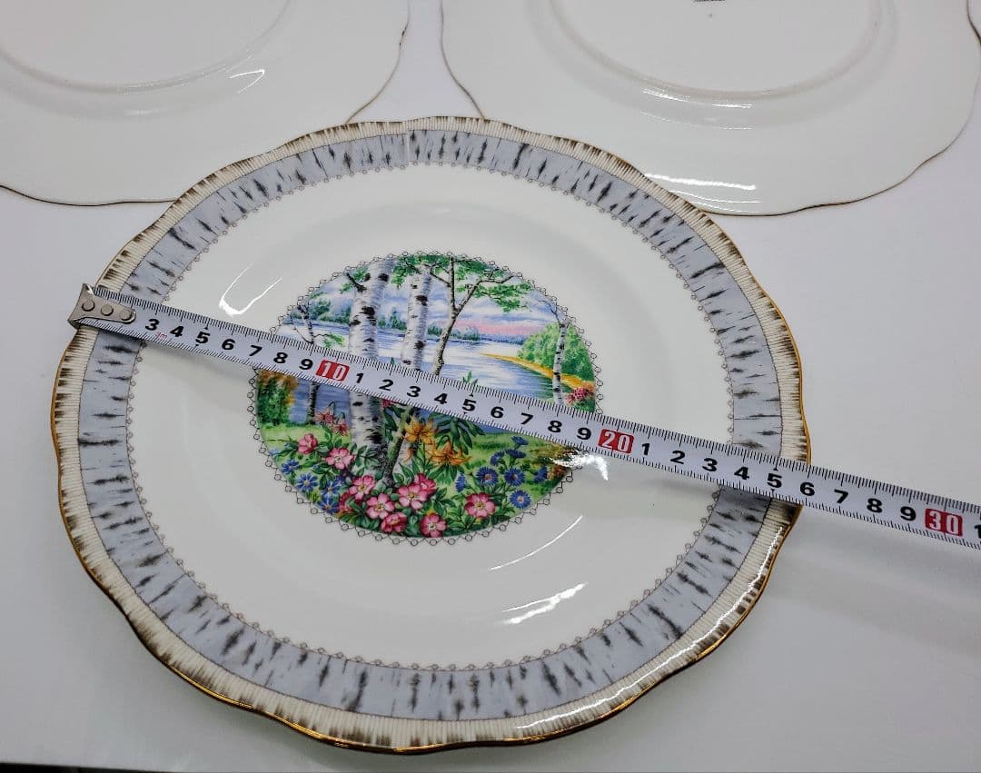 ①ロイヤル アルバート Silver Birch プレート　大皿　5枚　26cm