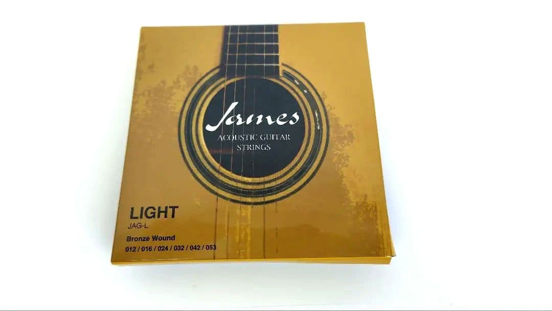 Morris モーリス F-12II NAT アコースティックギター