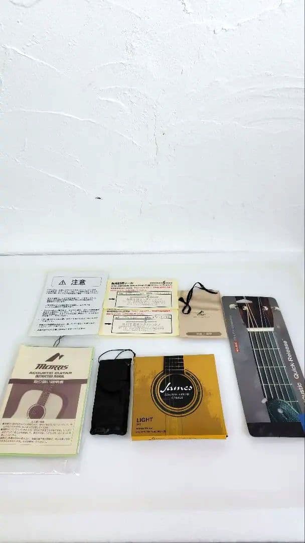 Morris モーリス F-12II NAT アコースティックギター