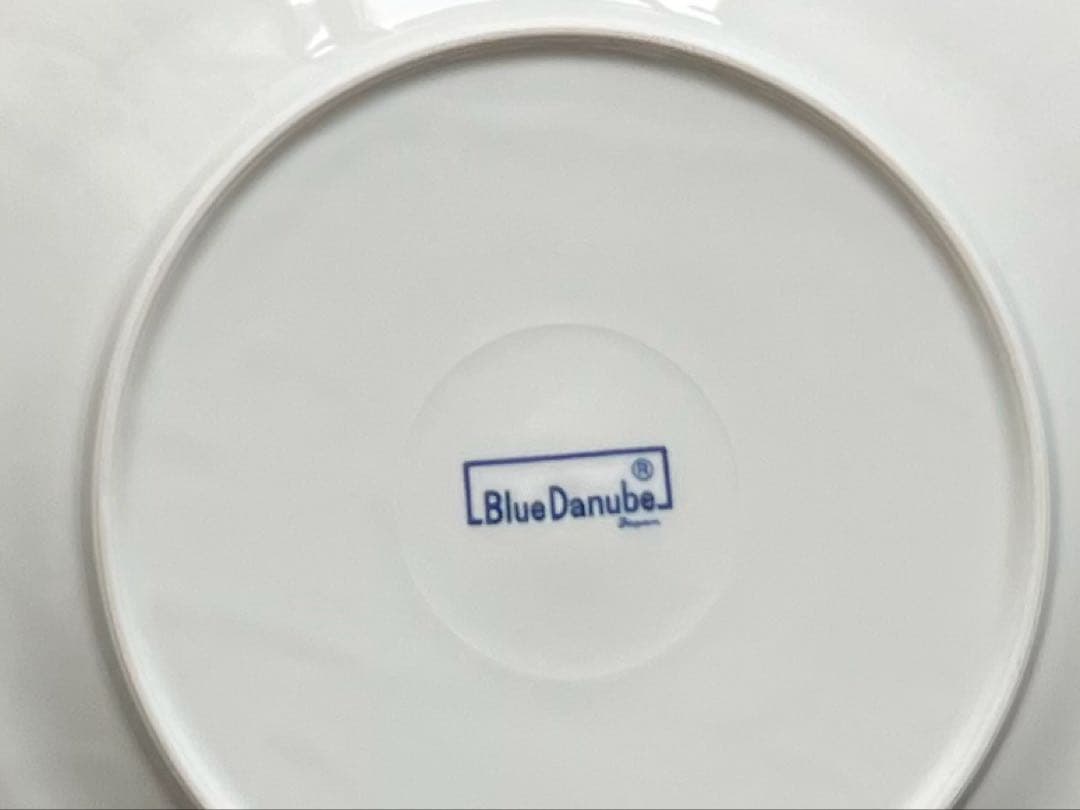 ブルーダニューブ ブルーオニオン　平皿（約26cm）5枚セット