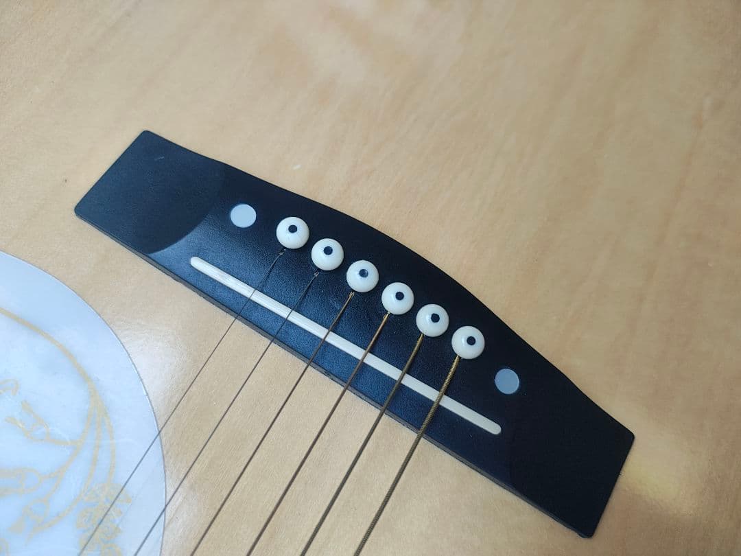 美品 初心者向け PU付きエレアコ オマケ多数 ハミングバード