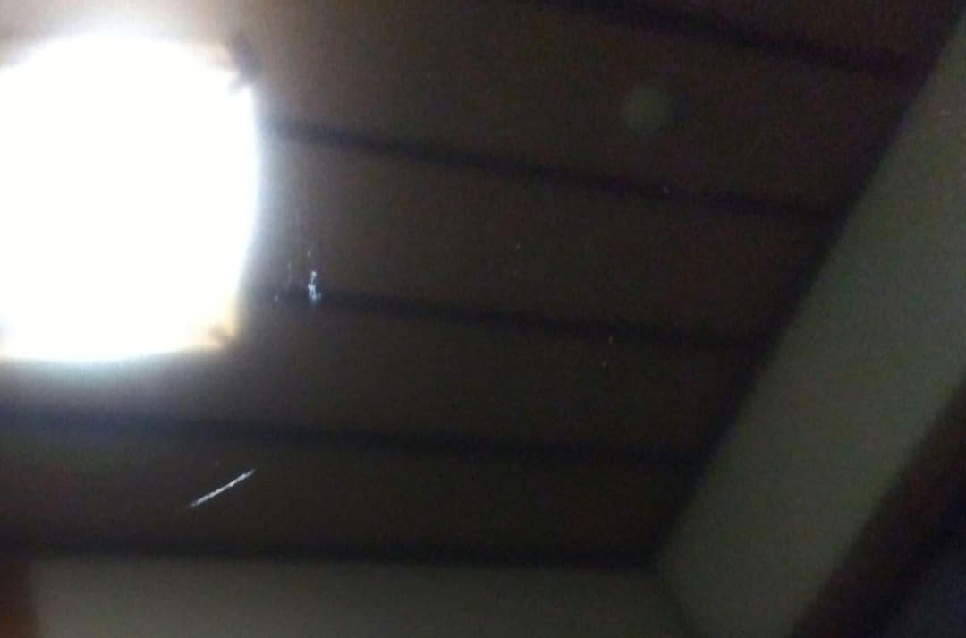 REGZA 液晶テレビ TOSHIBA 2021年製