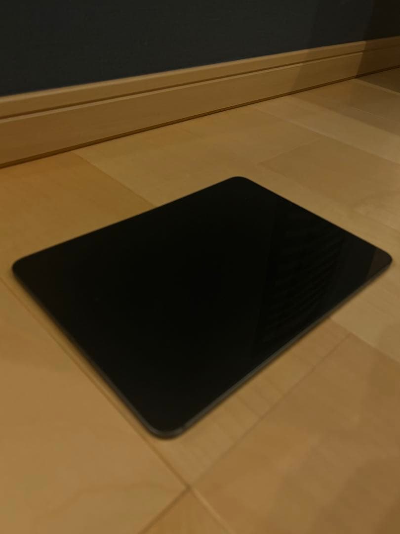 iPadPro11インチ 第2世代Wi-Fi+Cellularモデル256GB