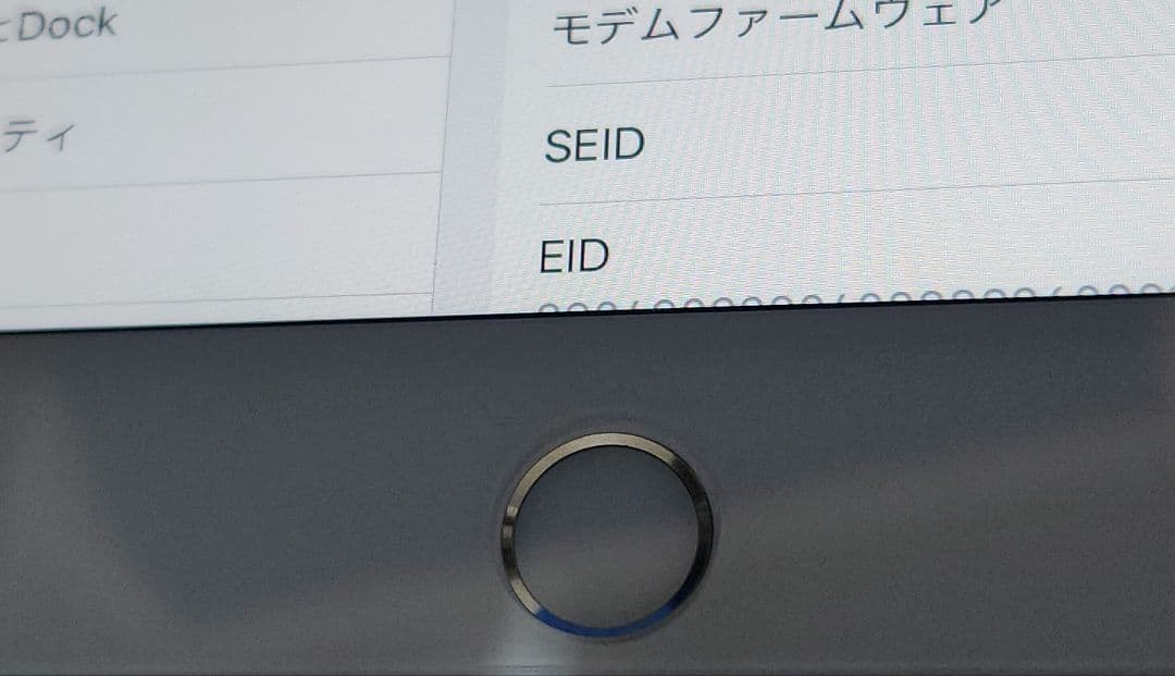 Apple iPad mini 第5世代 Wi-Fi+Cellular au版