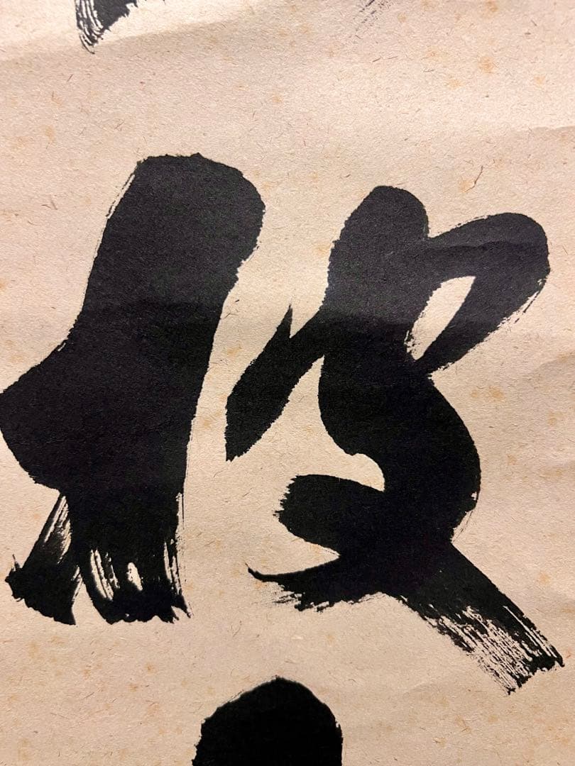 福本積應 肉筆 「老松披五雲」書 臨済宗 大徳寺 茶掛 掛軸 掛け軸 仏教美術