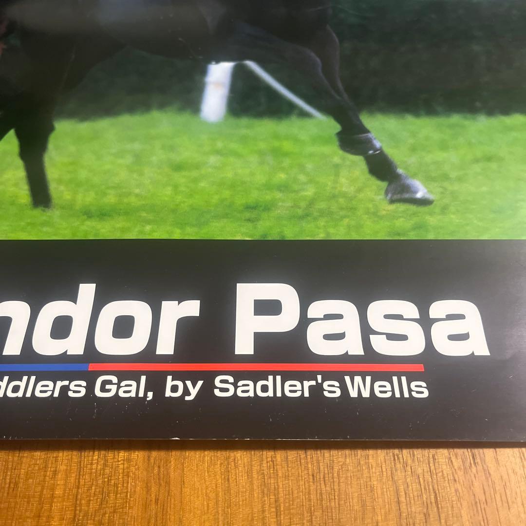 エルコンドルパサー　A1サイズポスター　JRA 競馬