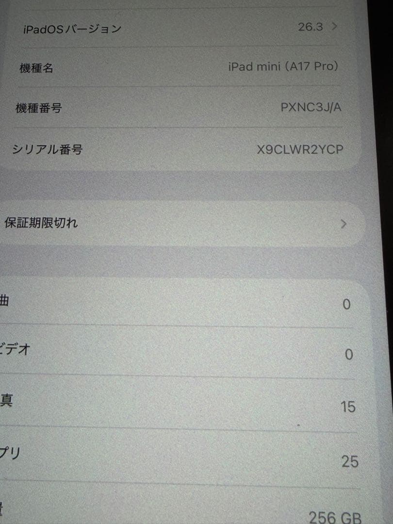 Apple iPad mini ブルー 本体 256GB バッテリー容量100%