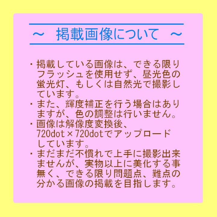 【ジャンク】 PJ-01 スピタル PC-98対応 プログラマブルジョイコント