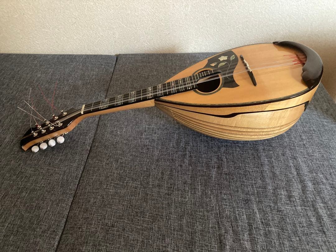 Ｓ*Ｙ様 マンドリン（サウンドエナ M-160）ケース付き