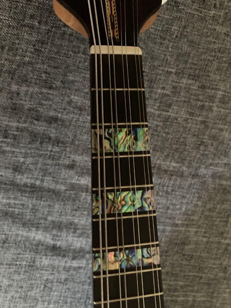 Ｓ*Ｙ様 マンドリン（サウンドエナ M-160）ケース付き