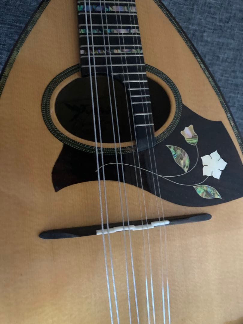 Ｓ*Ｙ様 マンドリン（サウンドエナ M-160）ケース付き