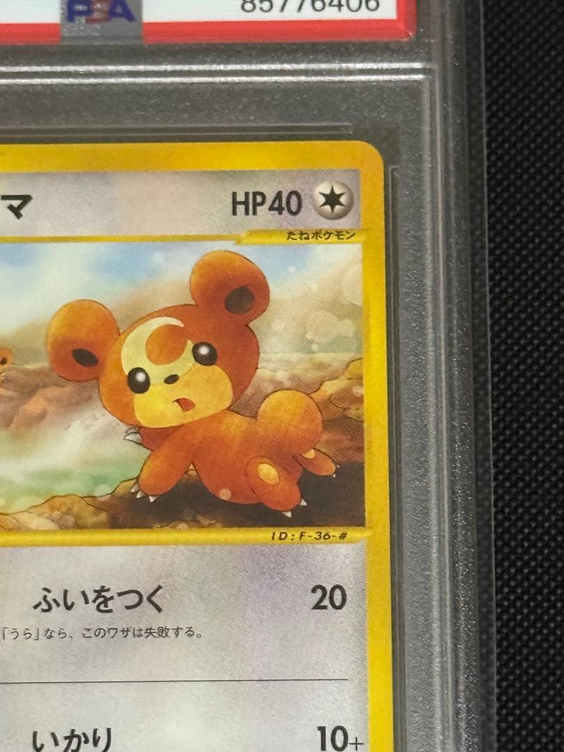 ヒメグマ　温泉　psa10 066/088 カードe