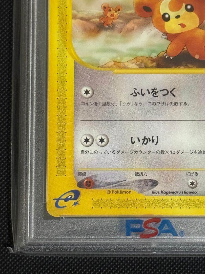 ヒメグマ　温泉　psa10 066/088 カードe