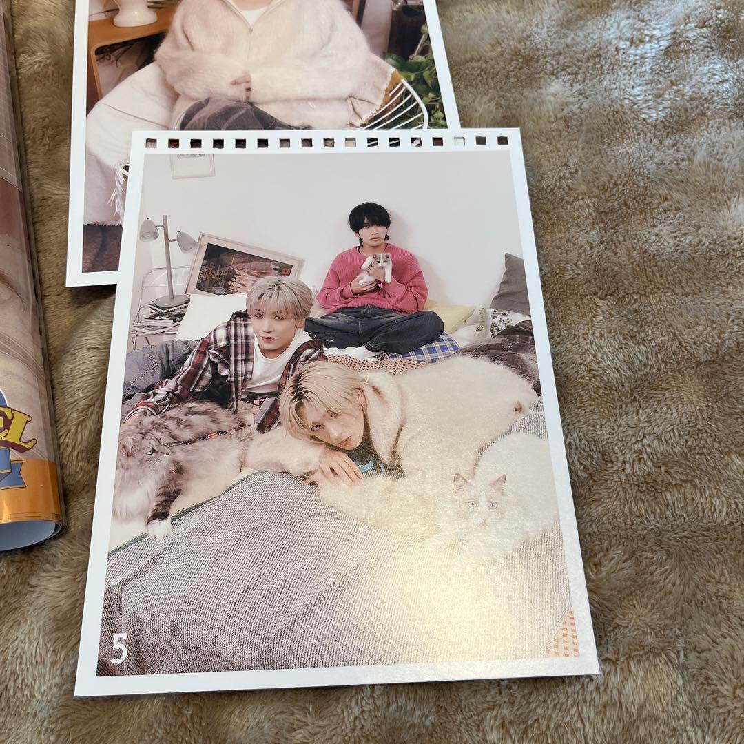 MAZZEL ANIMAZZEL アニマーゼル　NAOYA ナオヤ　5点セット